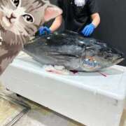 ヒメ日記 2025/12/14 19:09 投稿 さゆり 熟女家 京橋店