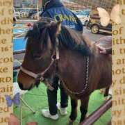 ヒメ日記 2026/01/01 23:26 投稿 さゆり 熟女家 京橋店