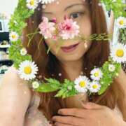 ヒメ日記 2026/10/11 21:26 投稿 さゆり 熟女家 京橋店