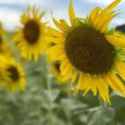 ヒメ日記 2025/09/01 20:52 投稿 みおな 11チャンネル