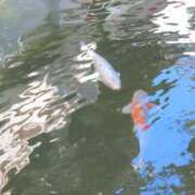 ヒメ日記 2025/09/22 02:48 投稿 みおな 11チャンネル