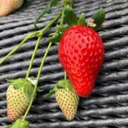 ヒメ日記 2025/10/25 21:48 投稿 みおな 11チャンネル