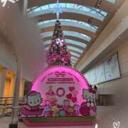 ヒメ日記 2024/12/12 19:10 投稿 田崎みほ 五十路マダム富山店(カサブランカグループ)