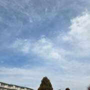 ヒメ日記 2025/03/08 10:16 投稿 田崎みほ 五十路マダム富山店(カサブランカグループ)