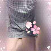 ヒメ日記 2025/04/01 07:02 投稿 田崎みほ 五十路マダム富山店(カサブランカグループ)