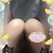 ヒメ日記 2025/04/08 07:02 投稿 田崎みほ 五十路マダム富山店(カサブランカグループ)