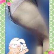 ヒメ日記 2025/04/26 08:56 投稿 田崎みほ 五十路マダム富山店(カサブランカグループ)