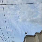 ヒメ日記 2025/05/05 07:02 投稿 田崎みほ 五十路マダム富山店(カサブランカグループ)