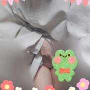 ヒメ日記 2025/06/06 07:02 投稿 田崎みほ 五十路マダム富山店(カサブランカグループ)