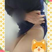 ヒメ日記 2025/10/29 10:30 投稿 田崎みほ 五十路マダム富山店(カサブランカグループ)