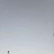 ヒメ日記 2025/11/26 07:02 投稿 田崎みほ 五十路マダム富山店(カサブランカグループ)