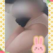 ヒメ日記 2026/03/28 10:16 投稿 田崎みほ 五十路マダム富山店(カサブランカグループ)