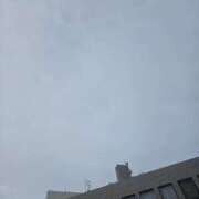 ヒメ日記 2026/07/01 07:04 投稿 田崎みほ 五十路マダム富山店(カサブランカグループ)