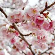 ことの 今日はおやすみです🥲‎ 蒲田ウルトラギャラクシー