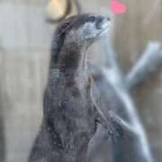 ヒメ日記 2024/12/13 11:47 投稿 ひなつ 五反田人妻ヒットパレード（シンデレラグループ）