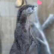 ヒメ日記 2025/09/04 11:38 投稿 ひなつ 五反田人妻ヒットパレード（シンデレラグループ）