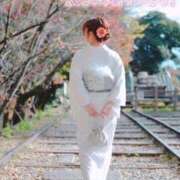 ヒメ日記 2024/12/31 23:04 投稿 じゅり みつらん鉄道