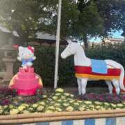 ヒメ日記 2025/01/29 23:43 投稿 りか すごいエステ京都店