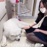 ヒメ日記 2025/02/19 06:40 投稿 すみれ THE ESUTE 五反田店