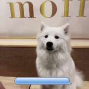 ヒメ日記 2025/03/04 00:20 投稿 すみれ THE ESUTE 五反田店