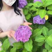 ヒメ日記 2025/06/18 00:20 投稿 すみれ THE ESUTE 五反田店