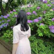 ヒメ日記 2025/06/25 12:00 投稿 すみれ THE ESUTE 五反田店