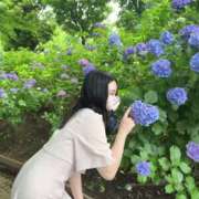 ヒメ日記 2025/07/27 18:00 投稿 すみれ THE ESUTE 五反田店