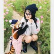 ヒメ日記 2025/11/26 12:21 投稿 すみれ THE ESUTE 五反田店