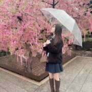 ヒメ日記 2026/03/07 06:40 投稿 すみれ THE ESUTE 五反田店