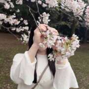 ヒメ日記 2026/04/03 06:40 投稿 すみれ THE ESUTE 五反田店