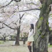 ヒメ日記 2026/04/05 12:20 投稿 すみれ THE ESUTE 五反田店