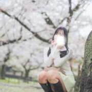 ヒメ日記 2026/04/12 12:21 投稿 すみれ THE ESUTE 五反田店