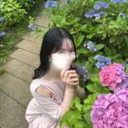 ヒメ日記 2026/06/16 12:21 投稿 すみれ THE ESUTE 五反田店