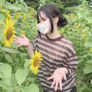 ヒメ日記 2026/08/01 12:20 投稿 すみれ THE ESUTE 五反田店