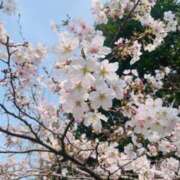 りこ 新年度 佐賀人妻デリヘル 「デリ夫人」