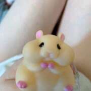 ヒメ日記 2025/06/05 13:15 投稿 ココ 京都デリヘル倶楽部