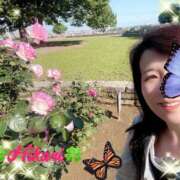 ヒメ日記 2025/05/09 03:18 投稿 光-ひかり 熟女10000円デリヘル 川崎