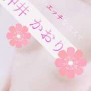 ヒメ日記 2025/07/30 11:27 投稿 仲井かおり 大人のエッチなエステ