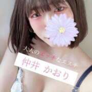 ヒメ日記 2026/04/24 12:54 投稿 仲井かおり 大人のエッチなエステ