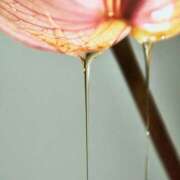 ヒメ日記 2025/08/25 12:20 投稿 なぎさ(Nagisa) 出張メンズエステ RELAX【DIVAグループ】