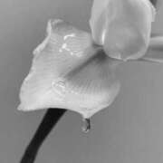 ヒメ日記 2025/08/27 18:52 投稿 なぎさ(Nagisa) 出張メンズエステ RELAX【DIVAグループ】