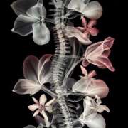 ヒメ日記 2025/08/27 19:15 投稿 なぎさ(Nagisa) 出張メンズエステ RELAX【DIVAグループ】