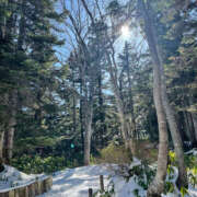 ヒメ日記 2024/12/28 23:04 投稿 ひまり ハピネス東京