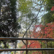 ヒメ日記 2024/12/29 05:30 投稿 ひまり ハピネス東京