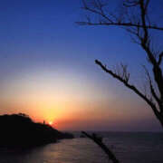 ヒメ日記 2025/01/20 17:30 投稿 ひまり ハピネス東京