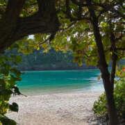 ヒメ日記 2025/02/19 12:35 投稿 ひまり ハピネス東京