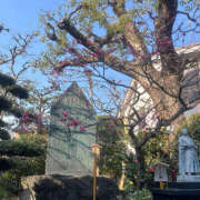 ヒメ日記 2025/03/21 19:07 投稿 ひまり ハピネス東京