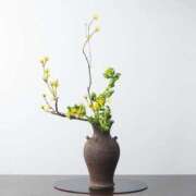 ヒメ日記 2025/04/01 05:37 投稿 ひまり ハピネス東京