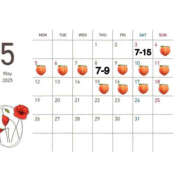 ヒメ日記 2025/05/02 17:37 投稿 ひまり ハピネス東京