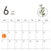 ヒメ日記 2025/05/28 18:47 投稿 ひまり ハピネス東京